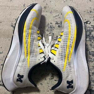 Michigan Wolverines Nike Pegasus (11)